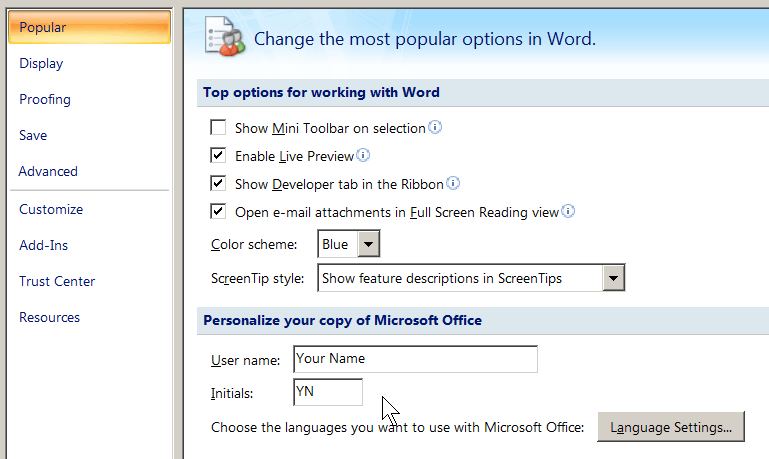 The Word Options menu.