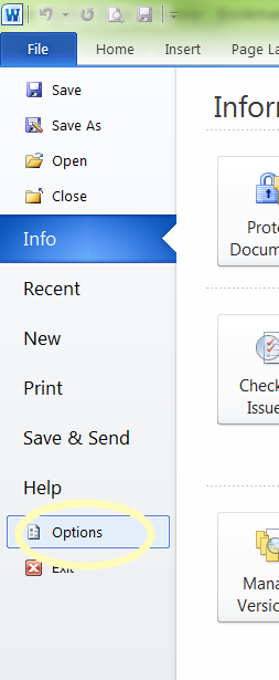 The options button on the File menu.